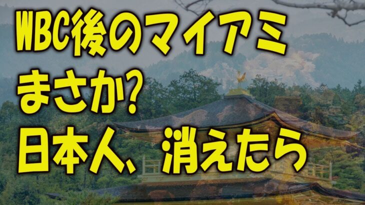 【海外の反応】紫綬褒章にWBC日本代表！なんと称賛を受けていたのは選手だけじゃなかった。米国人「こんなことありえない…」優勝直後の日本人サポーターたちの行動