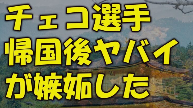 【海外の反応】【WBC】帰国後のチェコ代表「日本の○○がヤバすぎる」【ゆっくり解説】