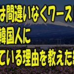 【海外の反応】「ゴミ拾いは韓国が最初だ！」WBC日本人サポーターの行動に世界中が感動！→羨んだ韓国人が起源説を主張!?