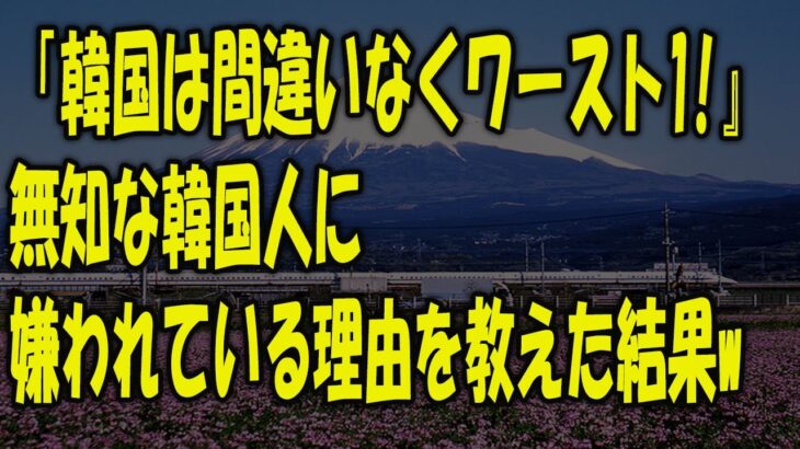 【海外の反応】「ゴミ拾いは韓国が最初だ！」WBC日本人サポーターの行動に世界中が感動！→羨んだ韓国人が起源説を主張!?