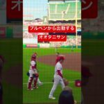 ブルペンから出勤するオオタニさん　#大谷翔平 #オオタニサン #エンゼルス #mlbb