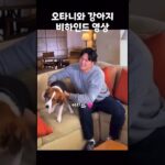 오타니군 강아지와 촬영 비하인드 영상 #大谷翔平 #오타니 #ohtani  오타니군 강아지 맞대요~