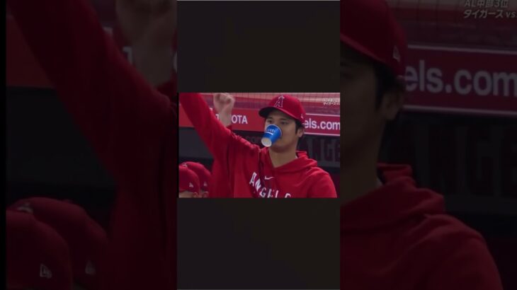 ゾウ谷さん🐘#大谷翔平 #エンゼルス #ohtani #angels