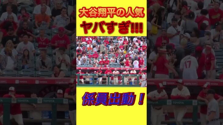 大谷翔平の人気！“ハンパね〜って！” #大谷翔平 #shoheiohtani #shorts