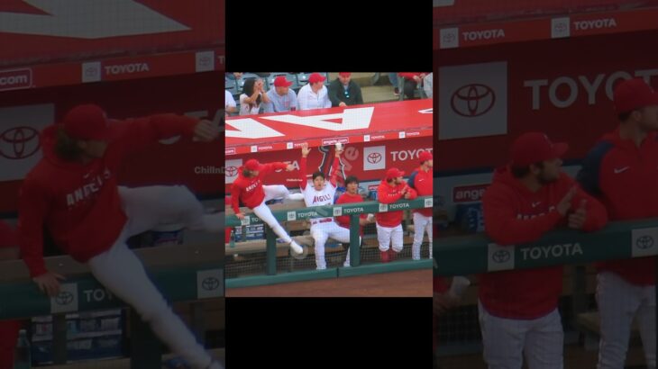 喜び方が可愛すぎる大谷さん #shorts #short #大谷翔平 #shoheiohtani #エンゼルス #angels #現地映像 #angelstadium