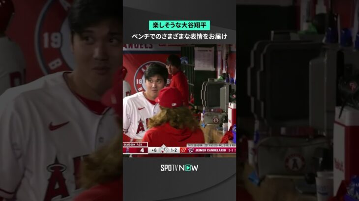 ベンチで楽しそうな大谷翔平😌 #shorts #spotvnow