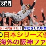 阪神の日本シリーズ優勝を祝う海外の阪神ファン達【海外の反応】