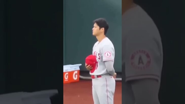 大谷翔平 野球選手