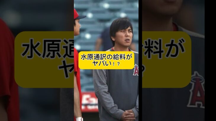 大谷翔平選手の専属通訳をする水原通訳の給料がヤバかった…