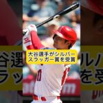 大谷翔平がシルバースラッガー賞を受賞！