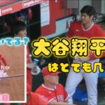 大谷翔平選手はめっちゃ几帳面！靴の後ろが気になる翔平さん#大谷翔平現地映像 #大谷翔平 #エンゼルス #野球 #오타니 쇼헤이