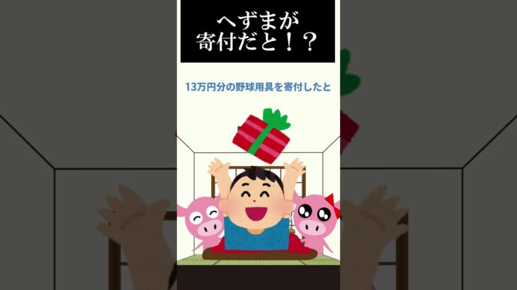 大谷翔平の寄付にへずまが対抗！それでもディスられるへずまりゅう