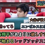 【海外の反応】大谷翔平があまりに欲しすぎて 喧嘩が始まるレッドソックスファン