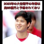 【大谷翔平】大谷の愛犬について