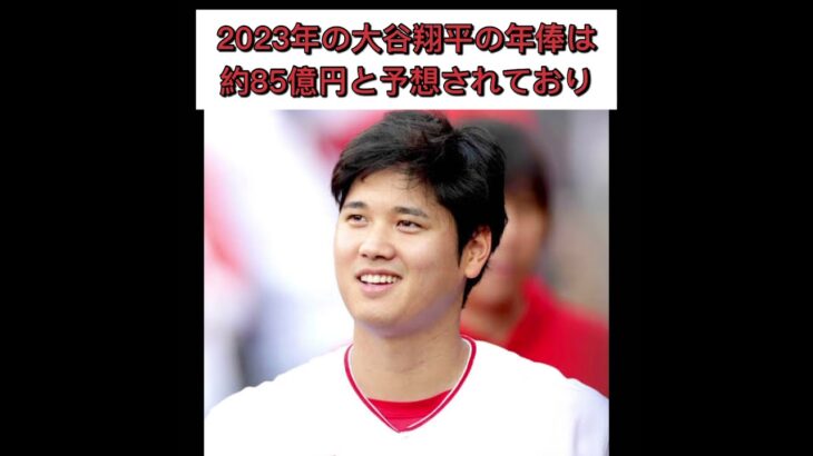 【大谷翔平】大谷の愛犬について