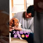 【⠀大谷翔平選手と愛犬🐶♥ 】もうちょっとさ頑張ろうよ〜💙💚と言う大谷さん💕最後にはエース君も🐶