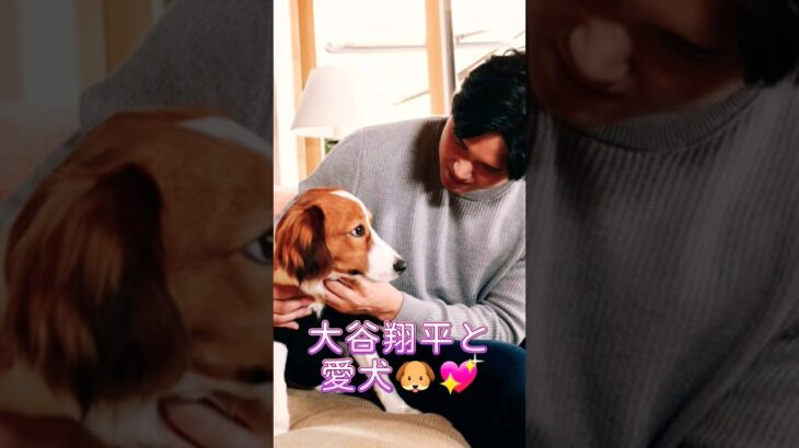 【⠀大谷翔平選手と愛犬🐶♥ 】もうちょっとさ頑張ろうよ〜💙💚と言う大谷さん💕最後にはエース君も🐶