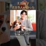 犬谷さんが大谷翔平にもたらすもの #学び #犬