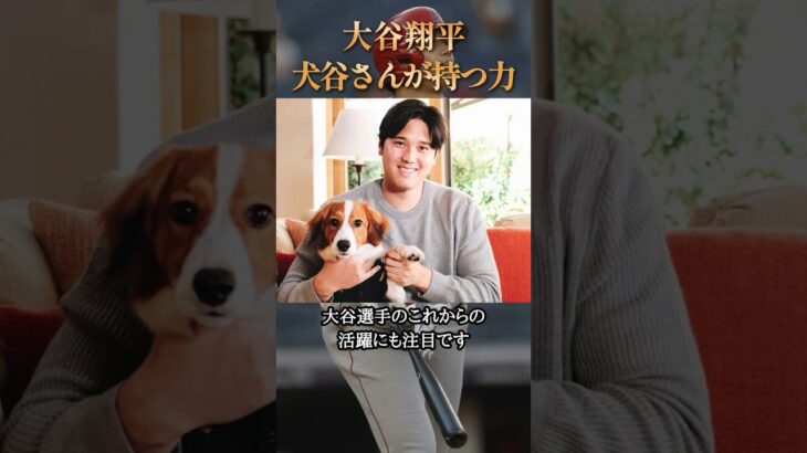 犬谷さんが大谷翔平にもたらすもの #学び #犬