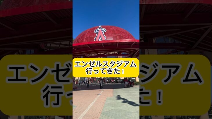 大谷翔平がいるエンゼルスタジアムに行ってきた！