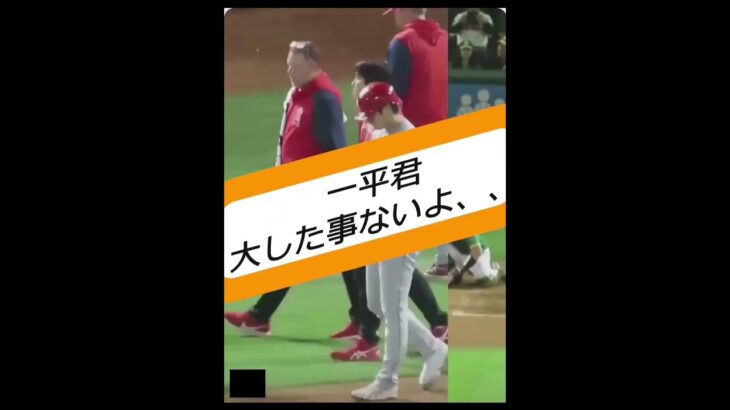 大谷翔平物語　世界の翔平の対応がこれすよ