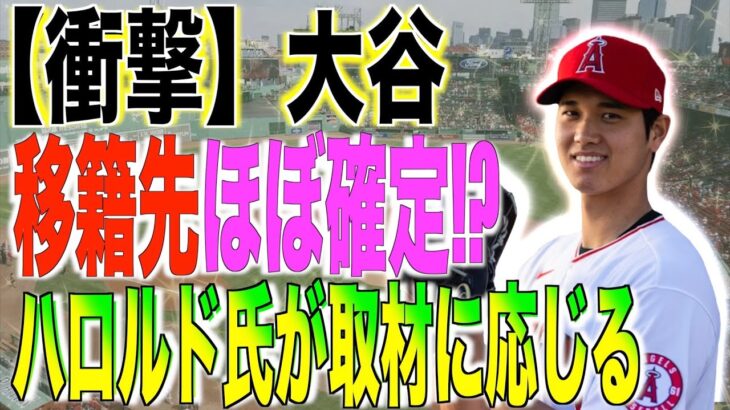 【衝撃!!!】 大谷翔平の移籍先がほぼ確定!!取材に応じたハロルド氏のコメントに驚きが隠せない