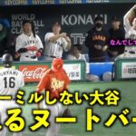 源田が慰めるw ペッパーミルをしてくれない大谷翔平に拗ねるヌートバーw【現地映像】WBC2023 侍ジャパン・エンゼルス