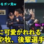 反応が面白いw 大谷翔平から可愛がられる岡本和真と後輩選手たちw【現地映像】WBC2023侍ジャパン