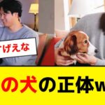 大谷翔平の犬の正体が明らかにwww【5ch】【なんJ】