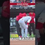 【珍プレー04】大谷翔平 死球 おい、痛過ぎだよ！ #shorts  #大谷翔平 #shoheiohtani #mlb