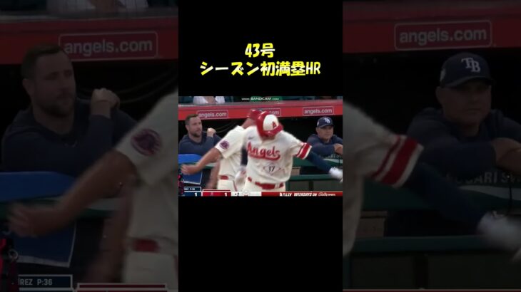 大谷翔平選手　個人的2023年ホームランベスト！！