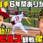 大谷選手有難う❤️超感動❣️2023年総集編⚾️入団会見を見たのあちの反応とクリスマスエンゼルスタジアム⭐️ #shoheiohtani #dodgers #angels