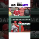 【大谷翔平】2023年の面白い瞬間#23：ちびっ子：Sign, please! 👩‍👦👩‍👦👩‍👦 #shorts # #shoheiohtani #baseball #mlb