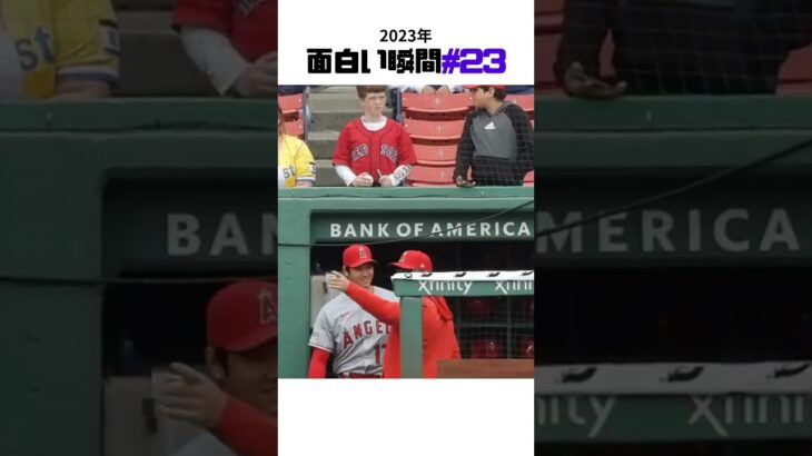 【大谷翔平】2023年の面白い瞬間#23：ちびっ子：Sign, please! 👩‍👦👩‍👦👩‍👦 #shorts # #shoheiohtani #baseball #mlb