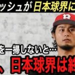 ダルビッシュの警告が今大問題に… ●●●を変えないと日本球界はヤバいと発言!! 2023WBCに参加した“裏の理由”や想いに涙腺崩壊【大谷翔平/海外の反応/大谷移籍/FA/ホームラン王/安樂】