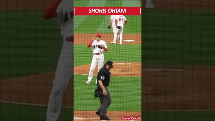 【珍プレー25】大谷翔平 敢えて捕らない咄嗟の頭脳プレーにスタンドをビックリさせる大谷翔平 #shorts #shoheiohtani #shohei #大谷翔平 #珍プレー