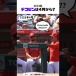 【大谷翔平】愛犬「デコピン」の存在は4月から??? 🐶🐶🐶 #shorts # #shoheiohtani #baseball #mlb