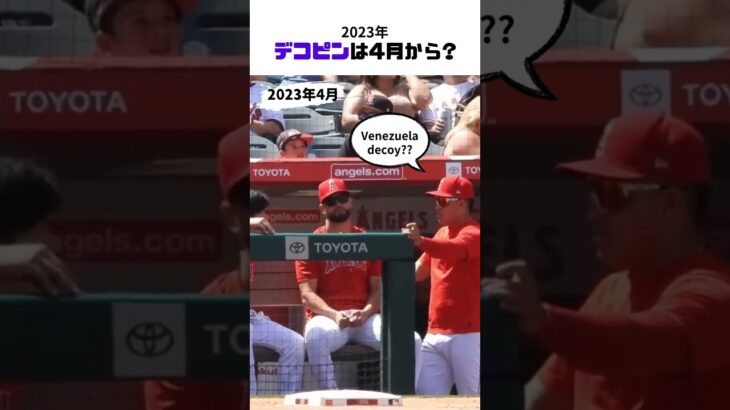 【大谷翔平】愛犬「デコピン」の存在は4月から??? 🐶🐶🐶 #shorts # #shoheiohtani #baseball #mlb