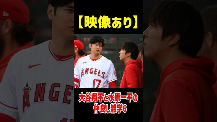 【大谷と一平の仲良く雑学6】#mlb #大谷翔平 #海外の反応