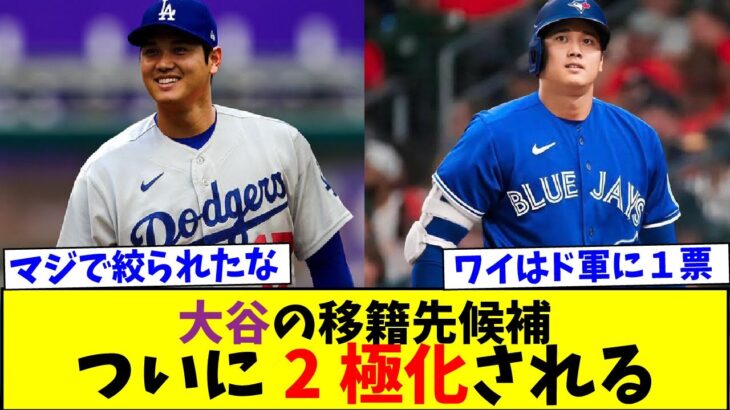 大谷翔平のFA移籍先がドジャースとブルージェイズで二極化される【なんJなんG反応】【2ch5ch】【海外の反応】