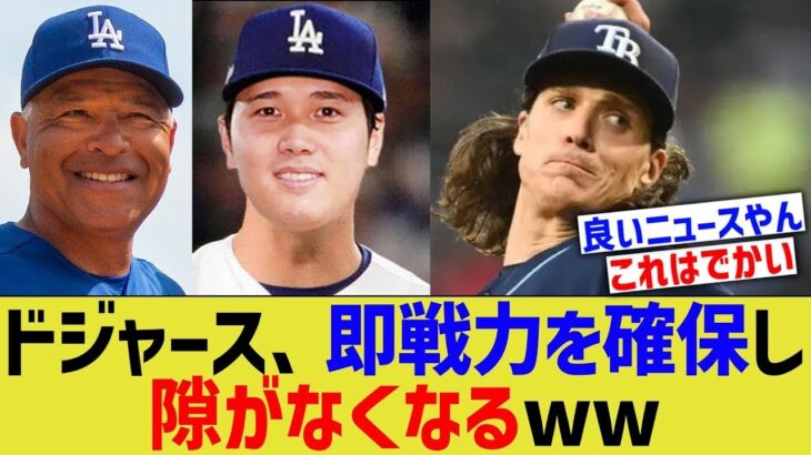 大谷ドジャース、レイズの即戦力先発を確保し隙がなくなる【なんJ プロ野球反応】