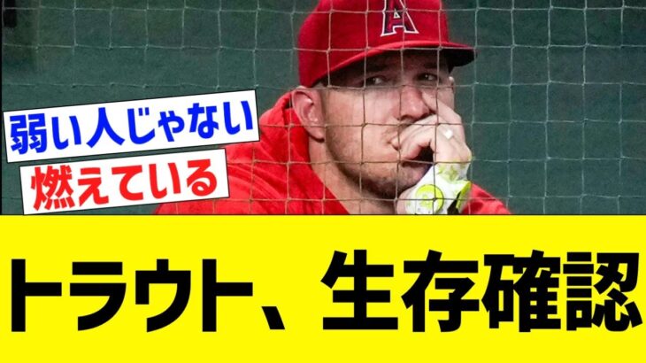 トラウト、生存確認【なんJ プロ野球反応】