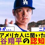 大谷翔平の認知度調査 ドジャース移籍の大谷についてアメリカ人に聞く【なんJなんG反応】【2ch5ch】【海外の反応】