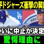 【MLB/大谷翔平/海外の反応】破談確定 ! ついに中止が決定？驚愕理由に