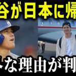 大谷翔平が毎年必ず帰国する理由がやばい…「何としても戻ってこなければいけない」【海外の反応/MLB/メジャー/野球】