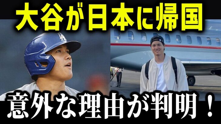 大谷翔平が毎年必ず帰国する理由がやばい…「何としても戻ってこなければいけない」【海外の反応/MLB/メジャー/野球】