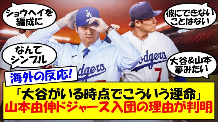 【海外の反応】「大谷さんと野球がしたかった」山本由伸がドジャースに決めた理由が判明！MLB記者によって明かされた入団の決め手にドジャースファンが歓喜！最強コンビによる反響をゆっくり解説