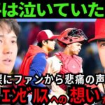 【大谷翔平】涙腺崩壊。大谷の涙にファンから悲痛の声が殺到！明かされたエンゼルスへの想いに、地元ファンの胸が張り裂けた。【最新 海外の反応/MLB/野球】