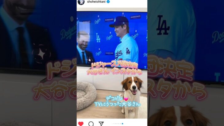 【⠀大谷翔平選手のインスタから デコピンとTVの大谷さん💓‪ドジャースの大谷さん 】大谷翔平選手ドジャースにようこそ✨