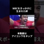 【海外の反応 野球】WBC世界一の栗山元監督が繋ぐ架け橋 チェコの野球界に異変！！